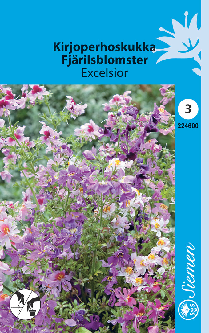 Kirjoperhoskukka Excelsior