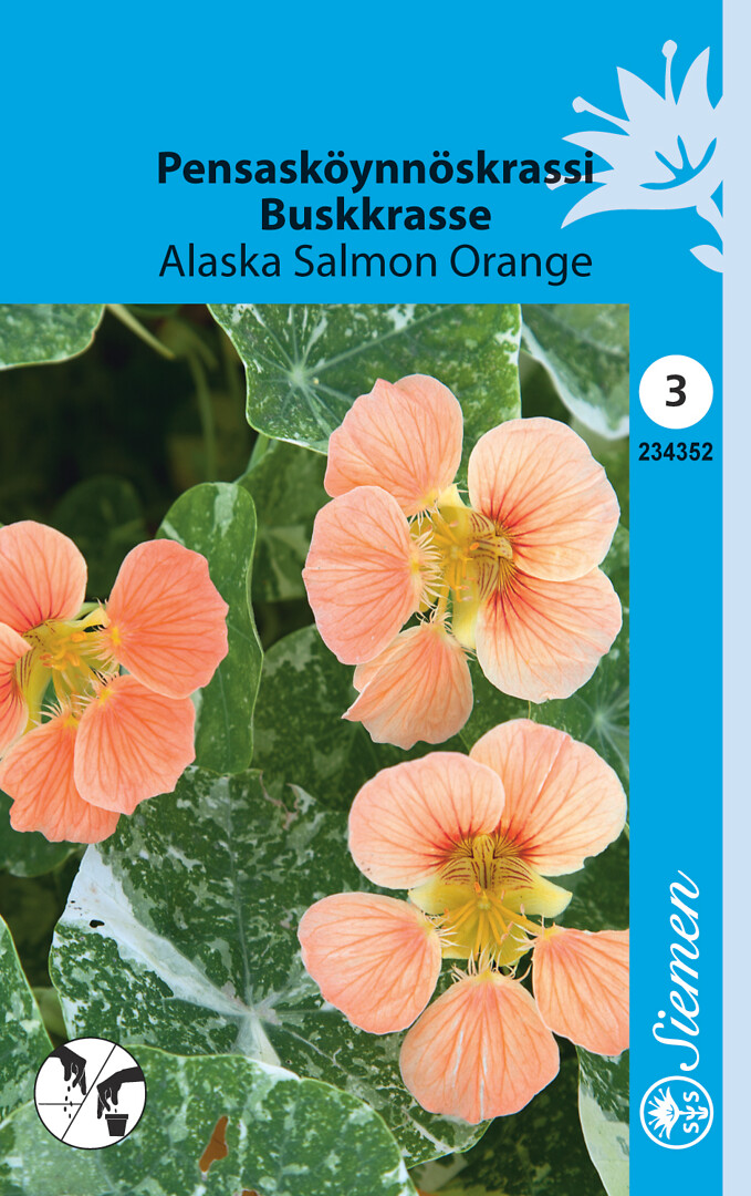 Pensasköynnöskrassi Alaska Salmon Orange