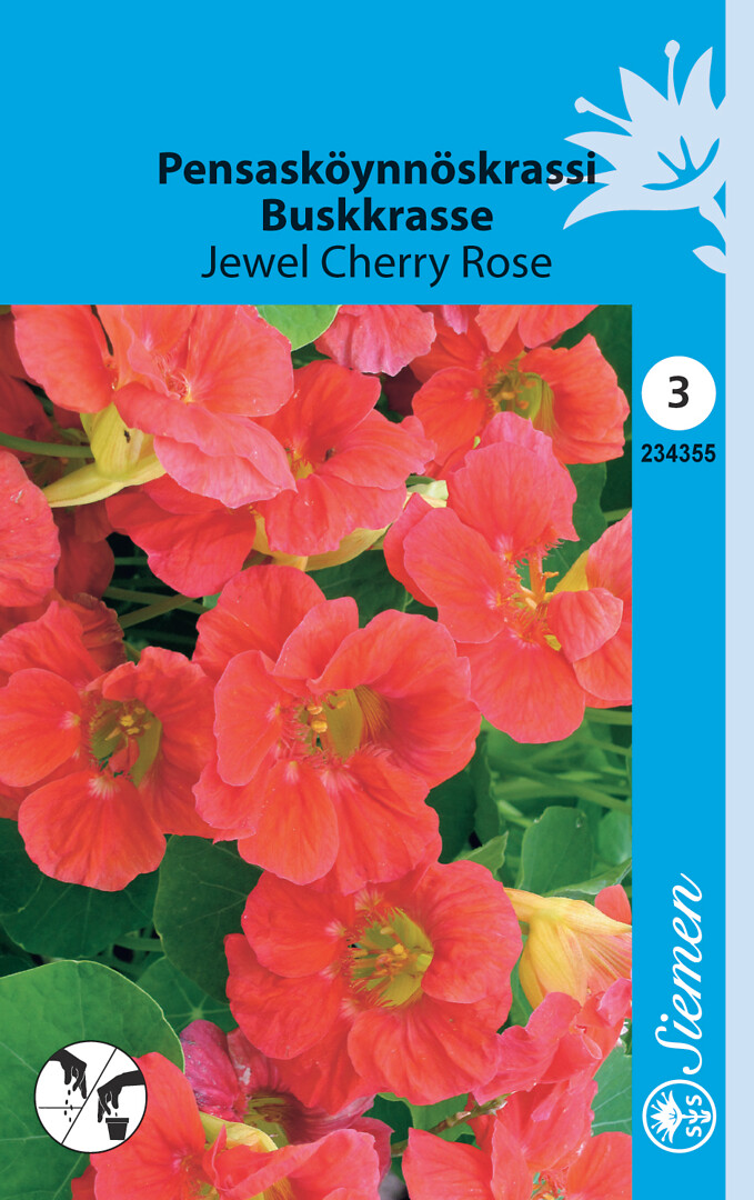 Pensasköynnöskrassi Jewel Cherry Rose