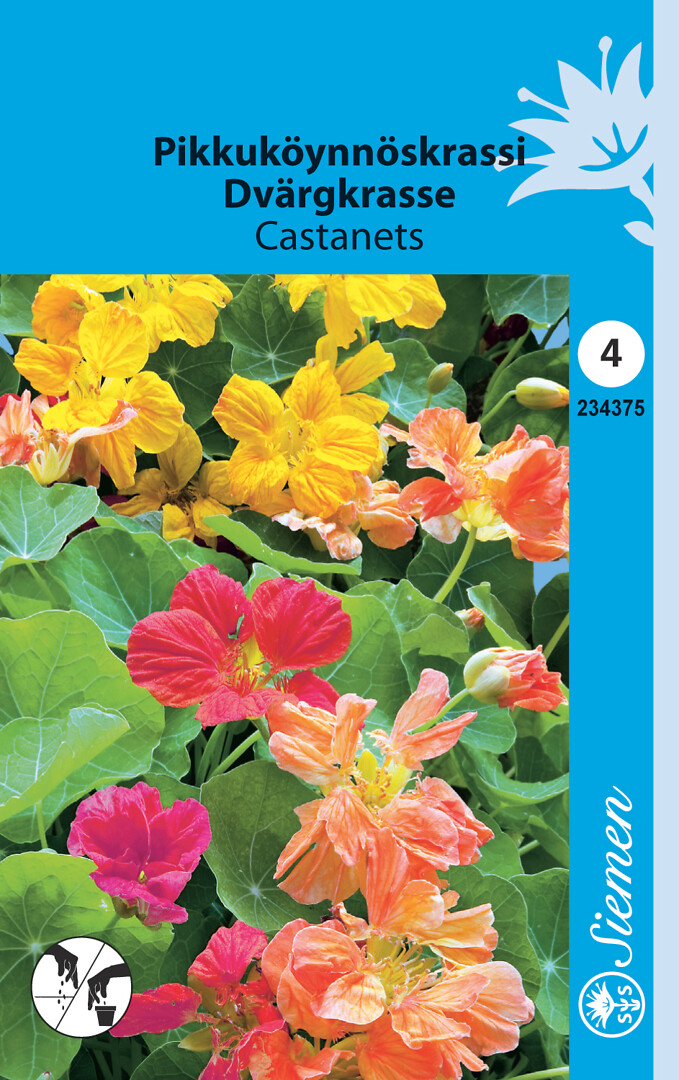 Pikkuköynnöskrassi Castanets sekoite
