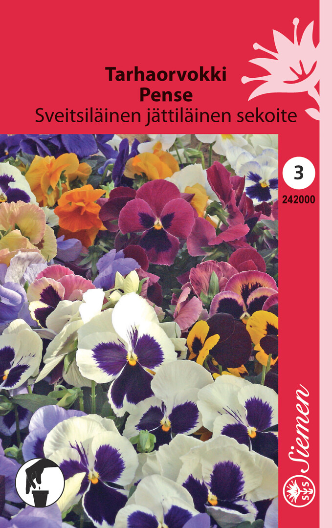 Tarhaorvokki Sveitsiläinen jättiläinen