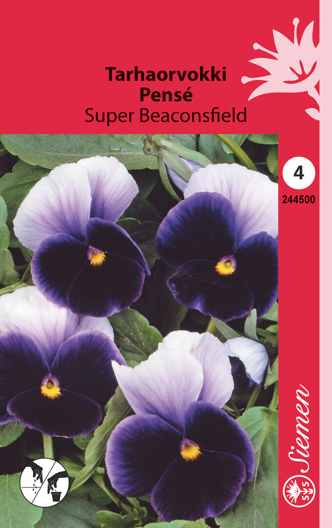 Tarhaorvokki Super Beaconsfield