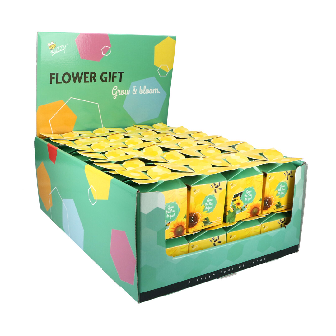 Flower Gift auringonkukka dsp:ssä