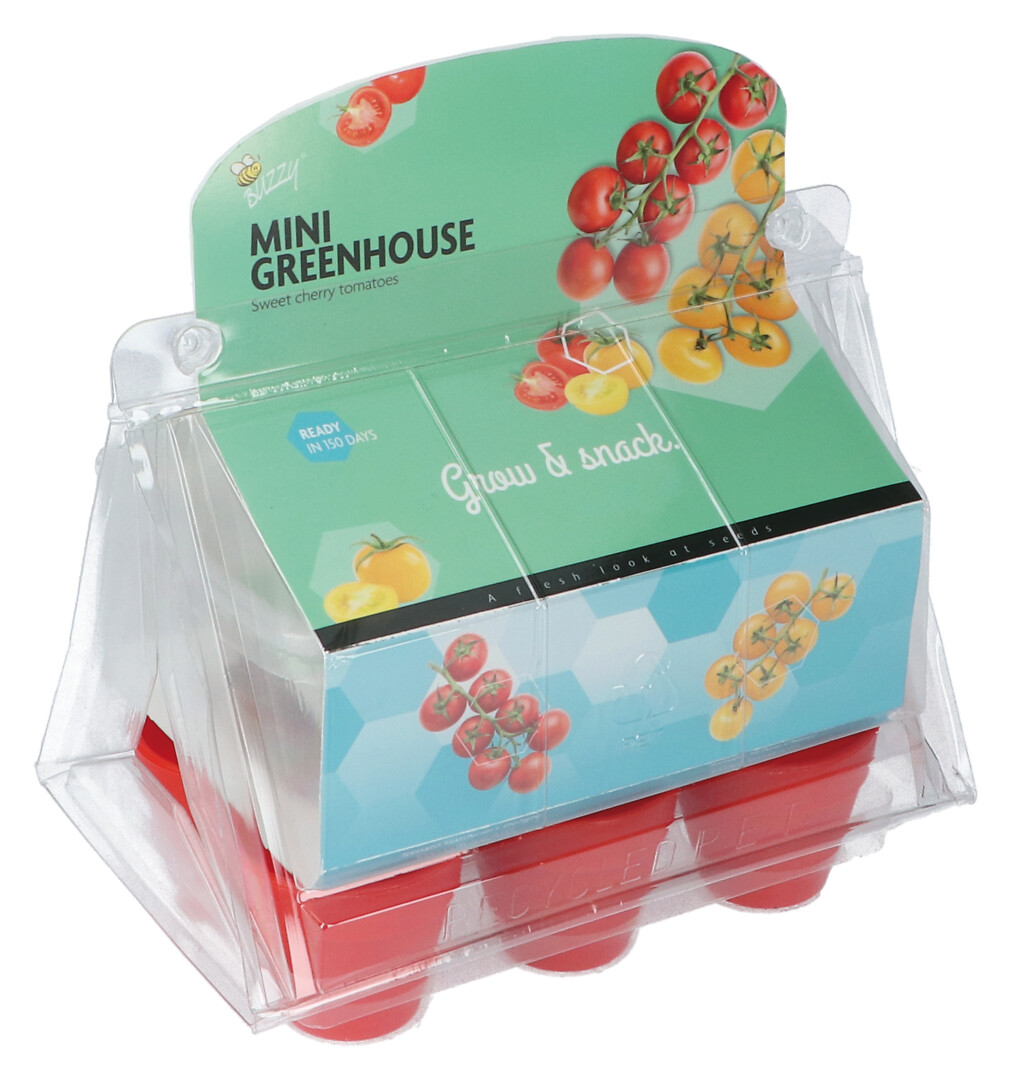 Mini Greenhouse kirsikkatomaatit