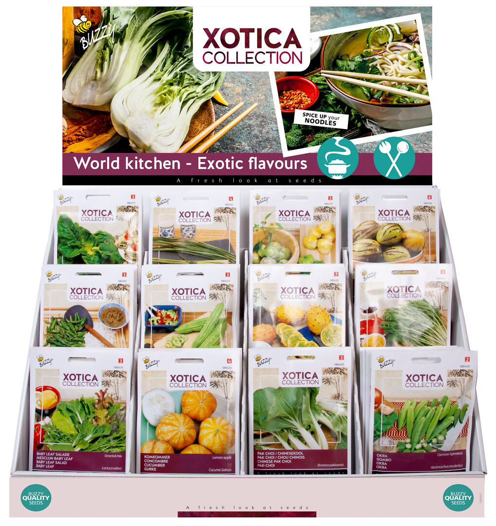 Kassadisplay Xotica 12x10