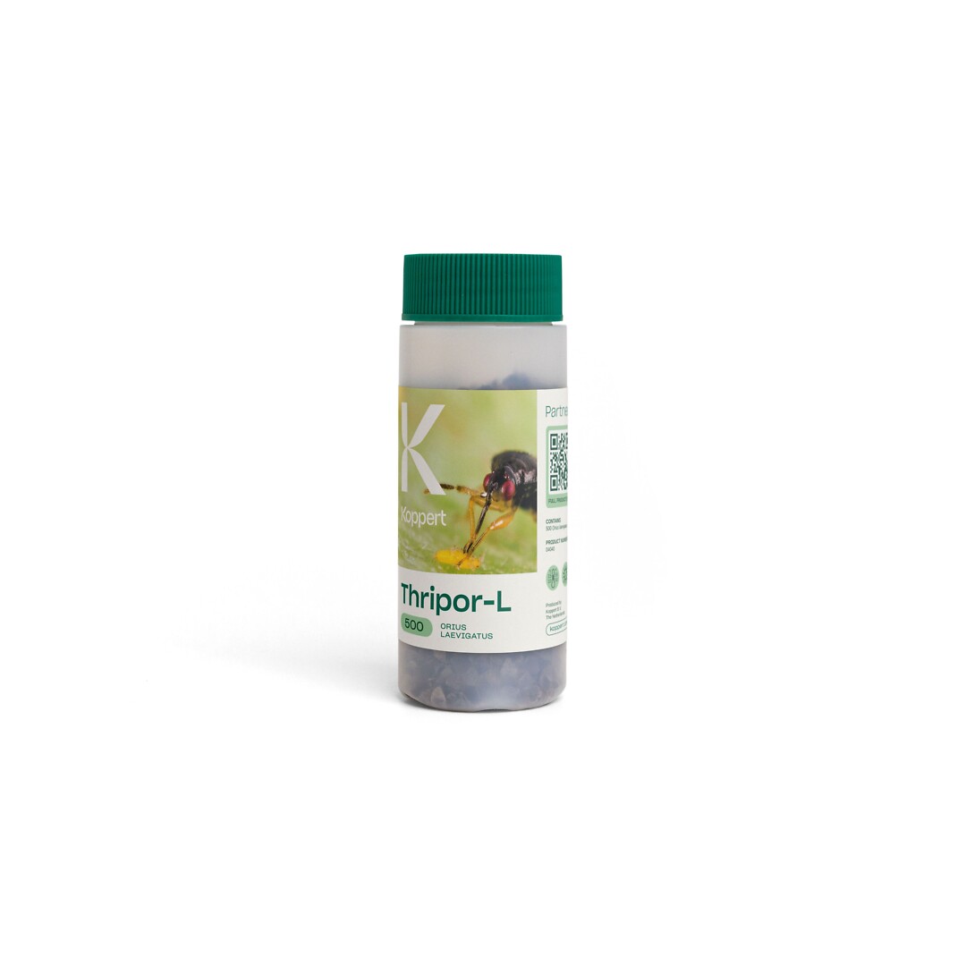 Thripor-L  500 kpl