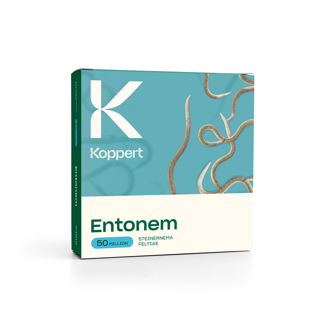 Entonem 50 milj.