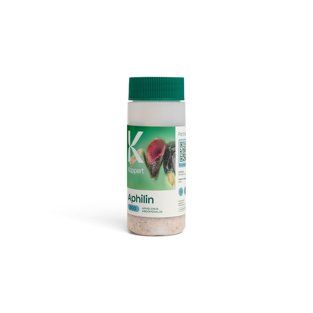 Aphilin  500 kpl
