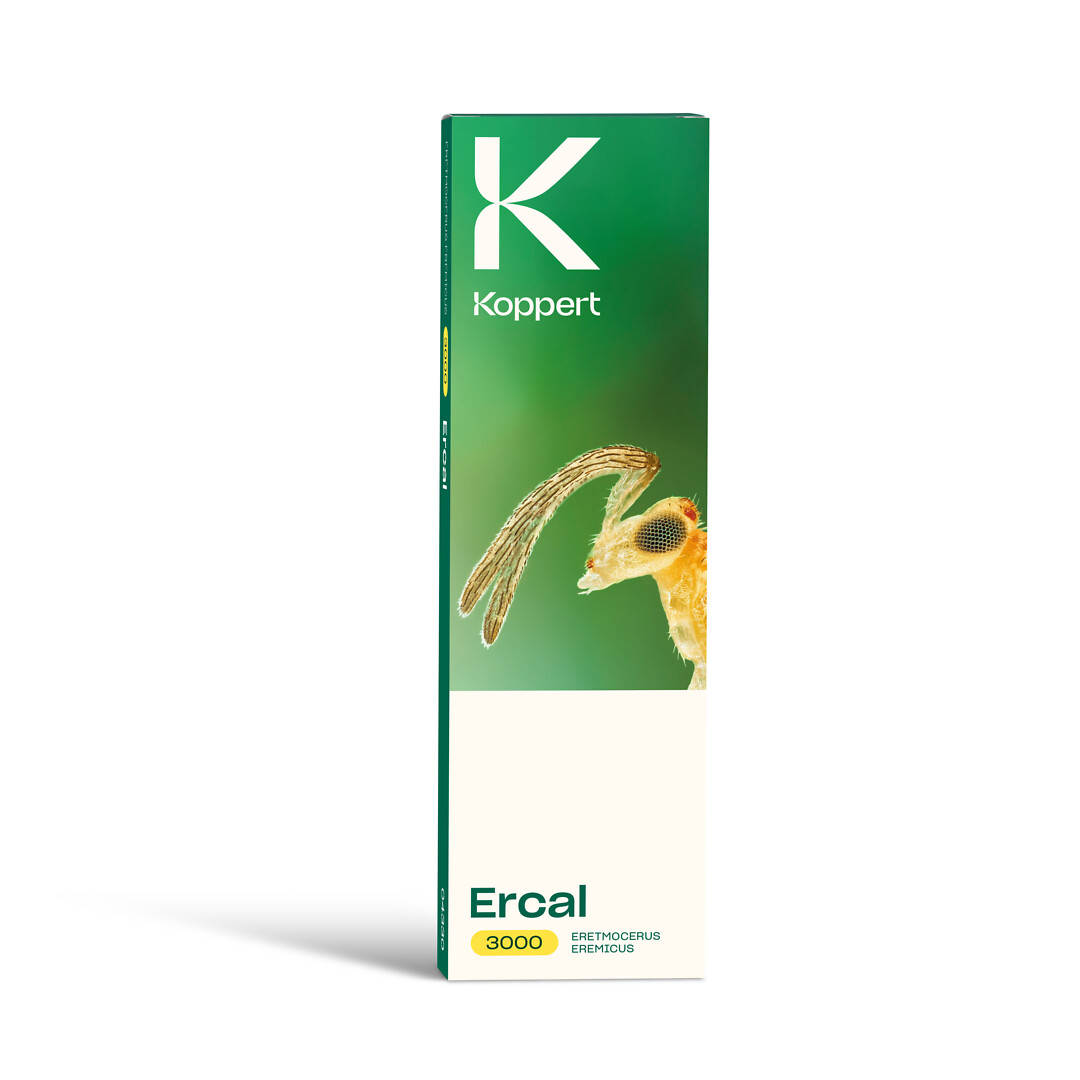 Ercal  3 000 kpl