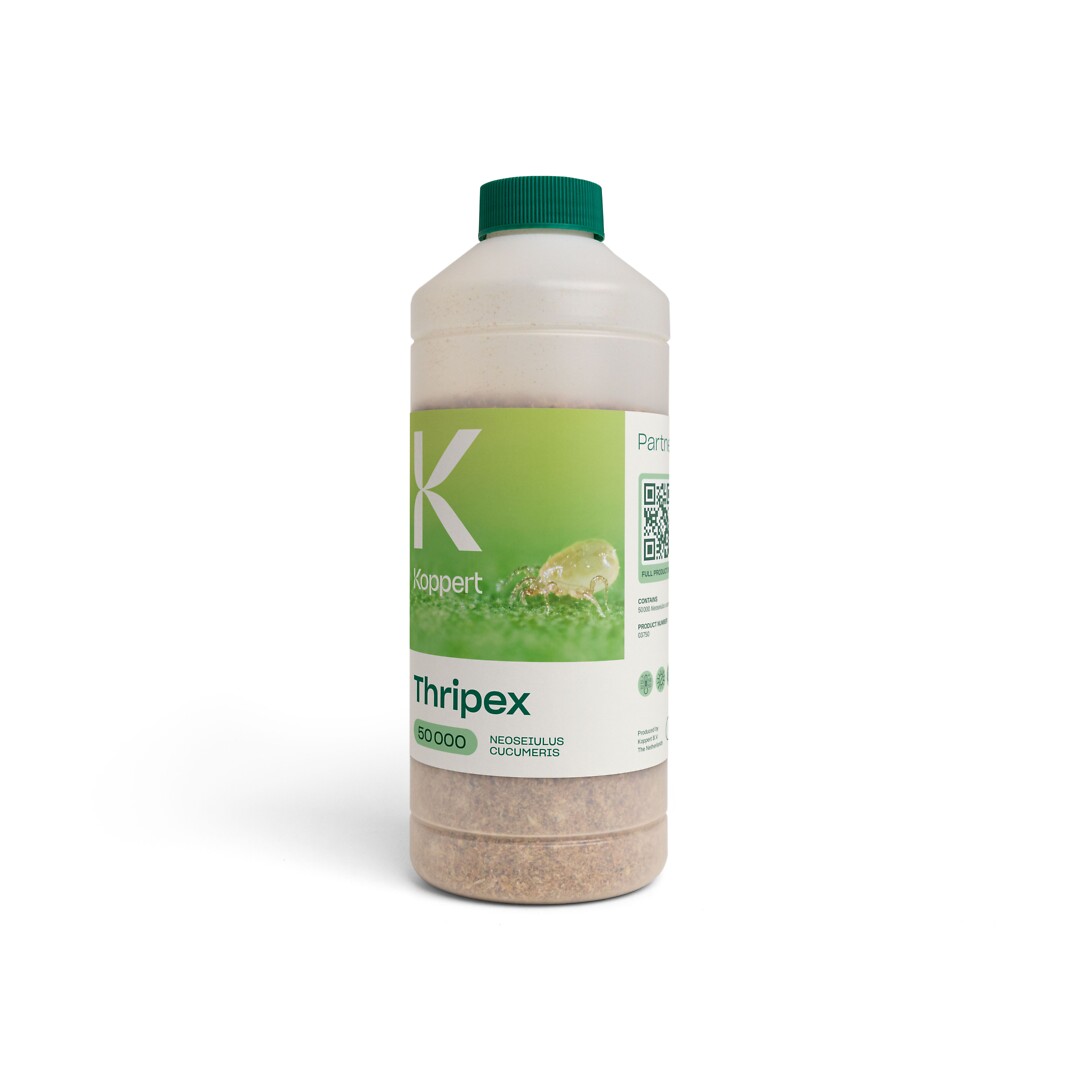 Thripex 50 000 kpl