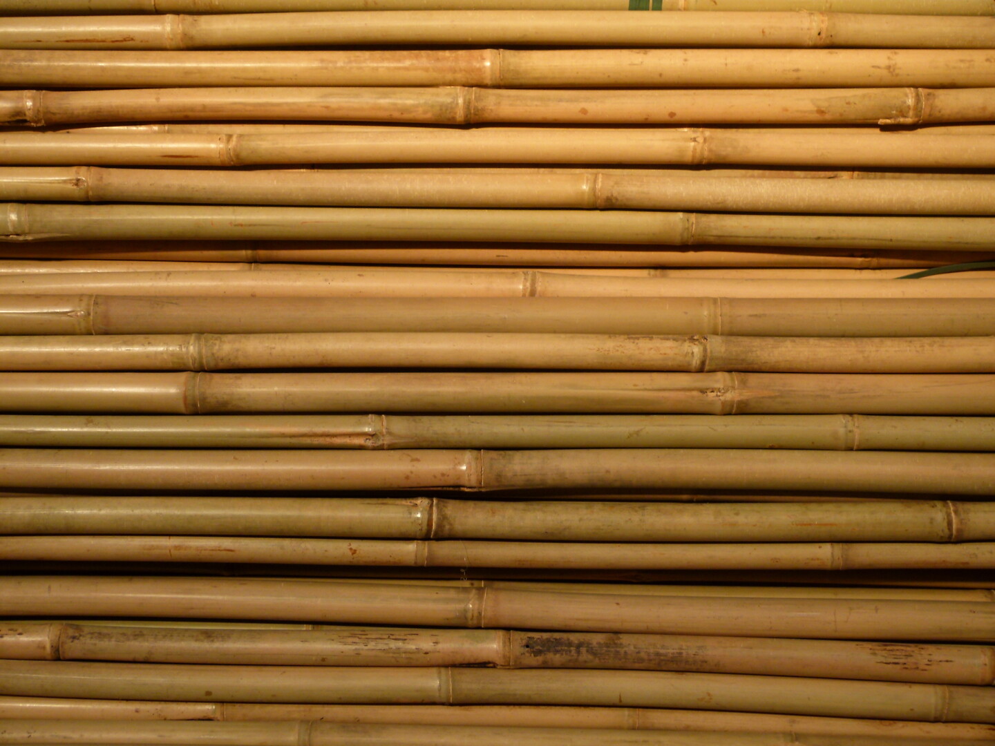Bambukeppi 213 cm 12-14mm 250kpl