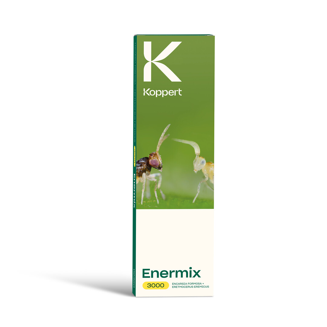 Enermix 3 000 kpl