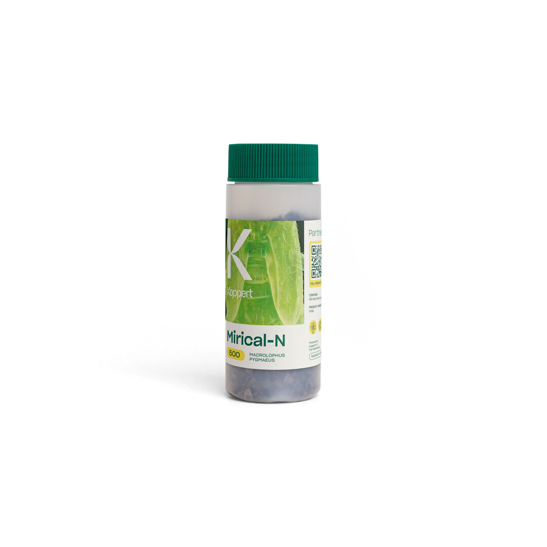 Mirical-N 500 kpl