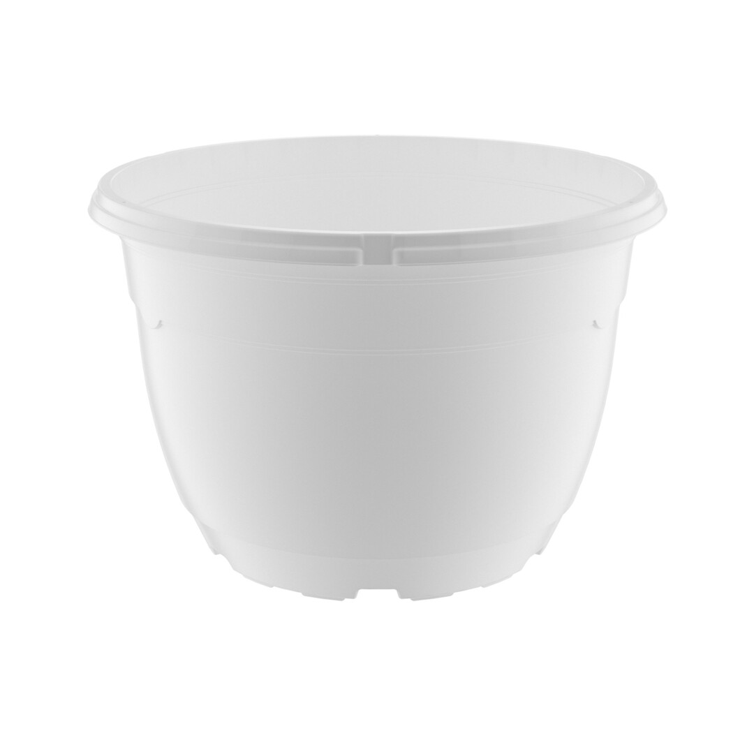 MAL 25 cm amppeli