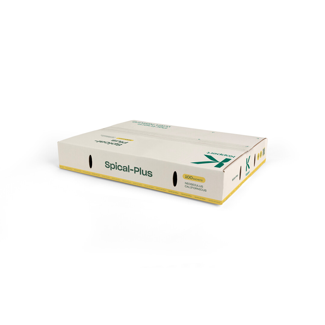 Spical-Plus 100 pss