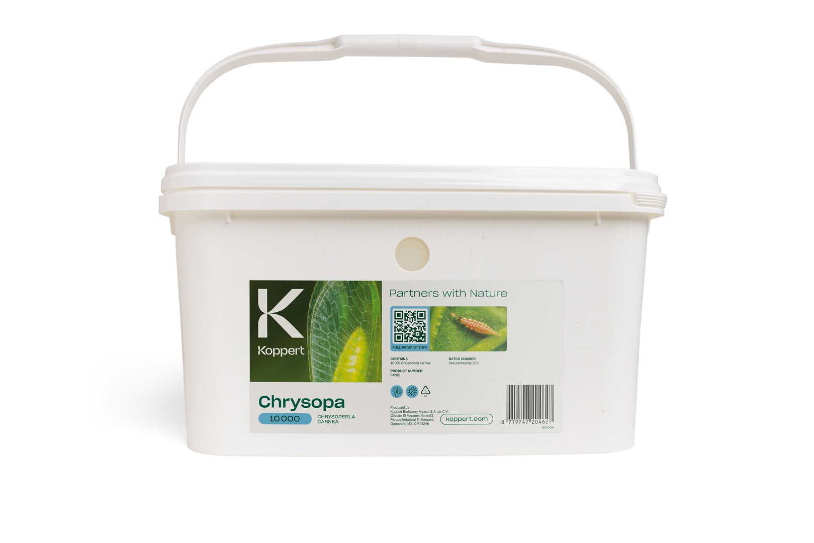 Chrysoperla 10 000 kpl