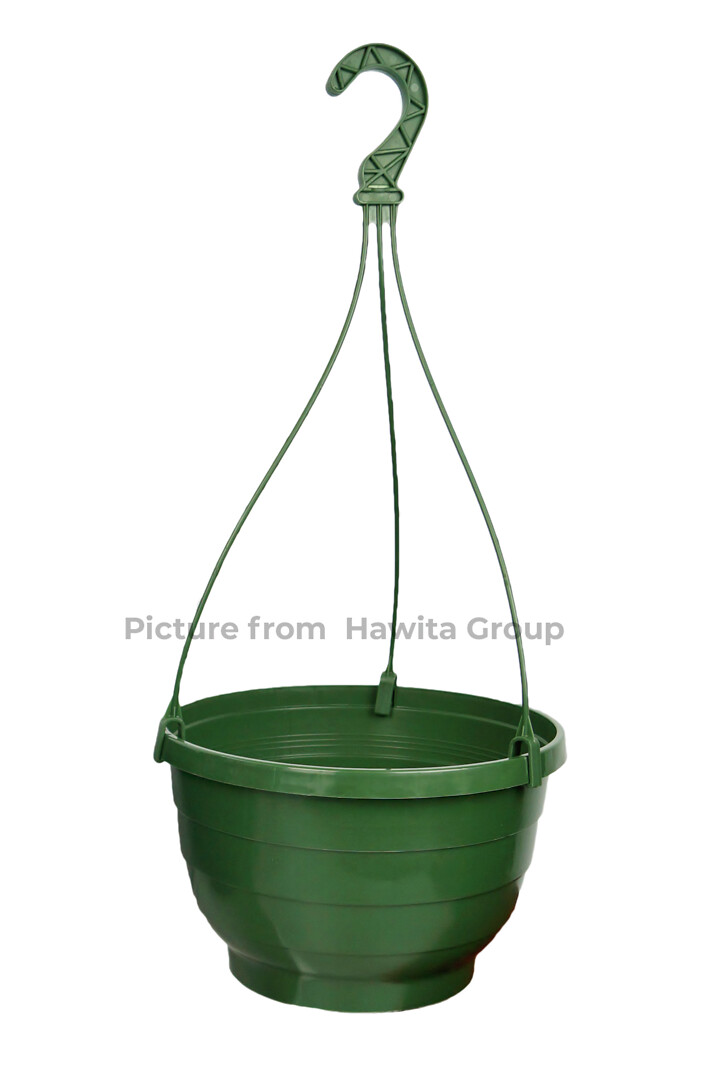 Komet  25 cm amppeli