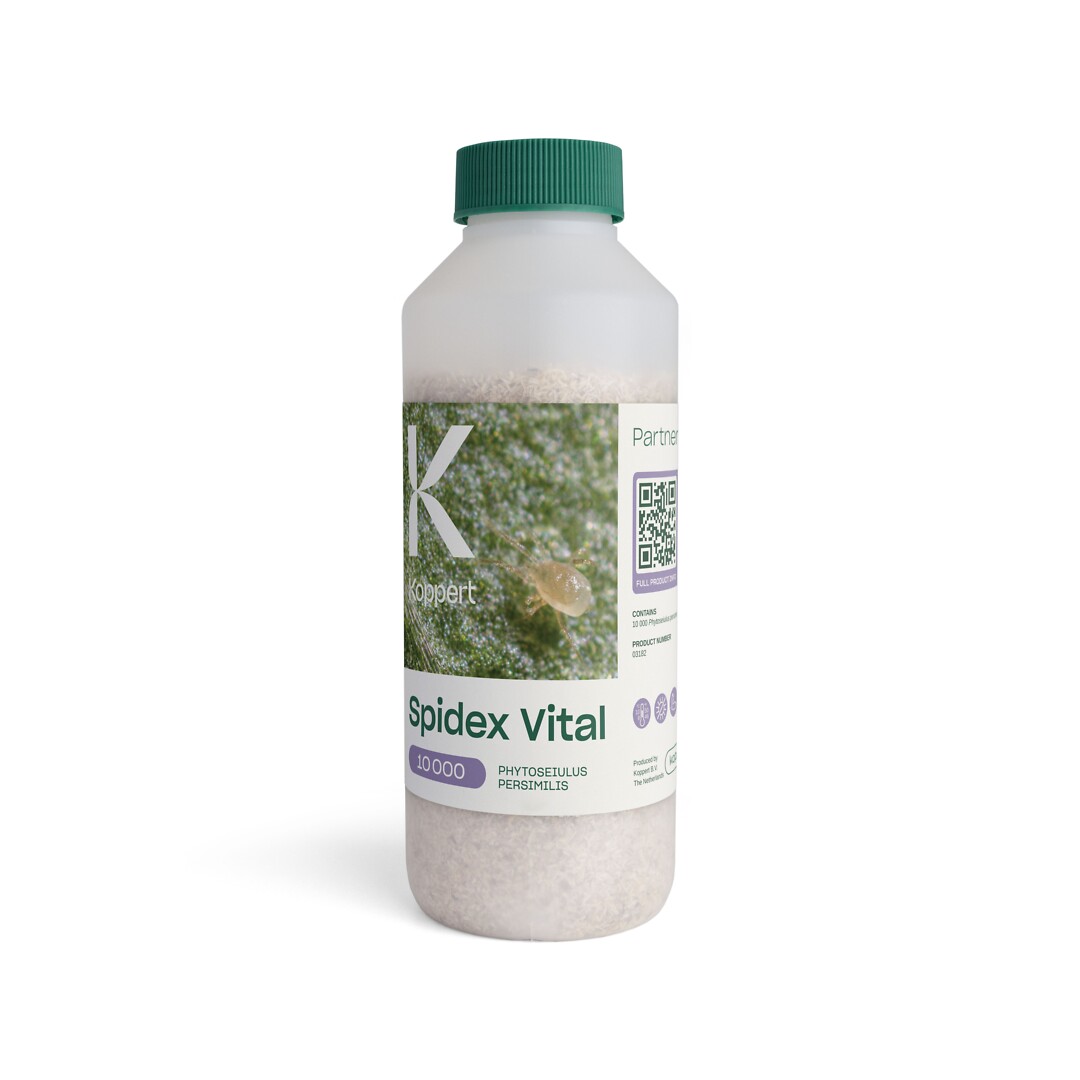 Spidex Vital 10 000 kpl