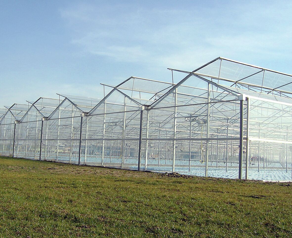 EVA-kalvo 6,50 x 25 m UV, 0,18 mm