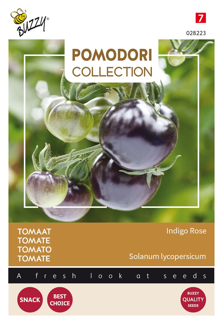 Pomodori tomaatti Indigo Rose