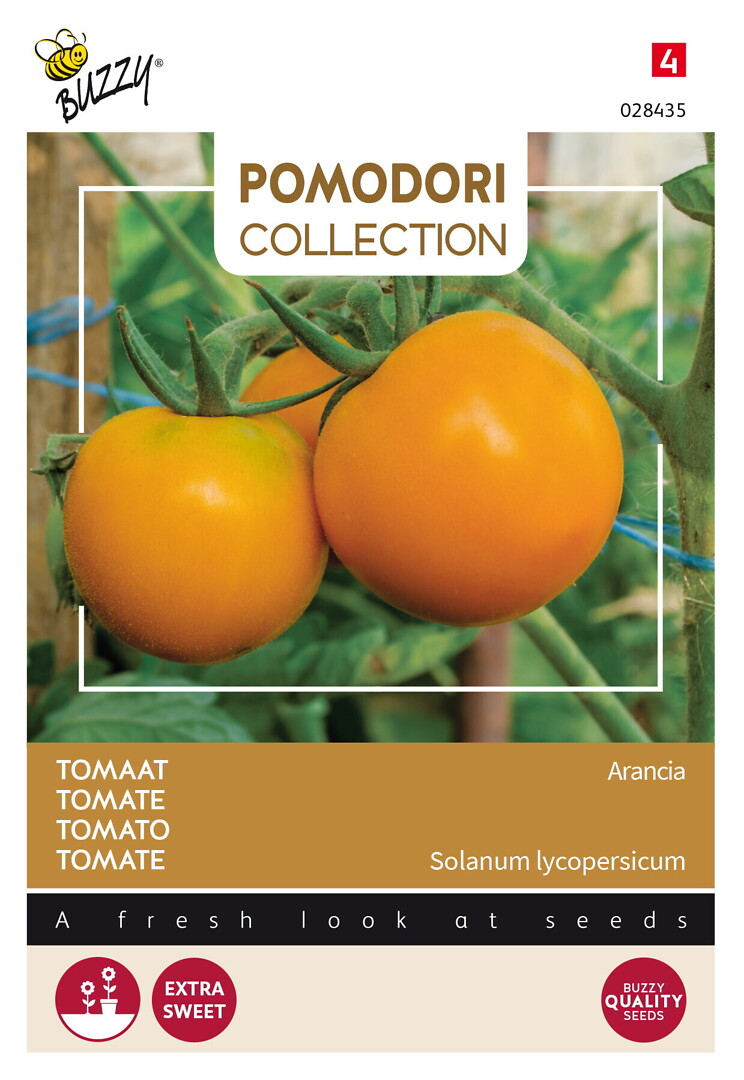 Pomodori tomaatti Arancia/Zloty Ozarowski