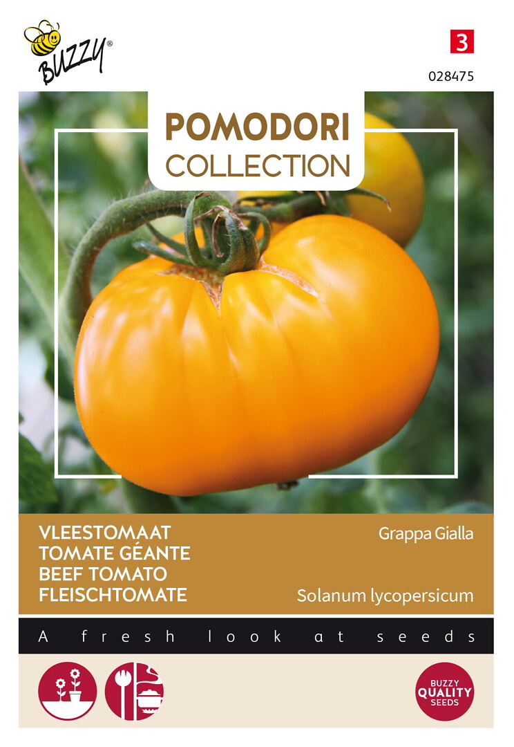 Pomodori pihvitomaatti Grappa Gialla/Brandywine Yellow