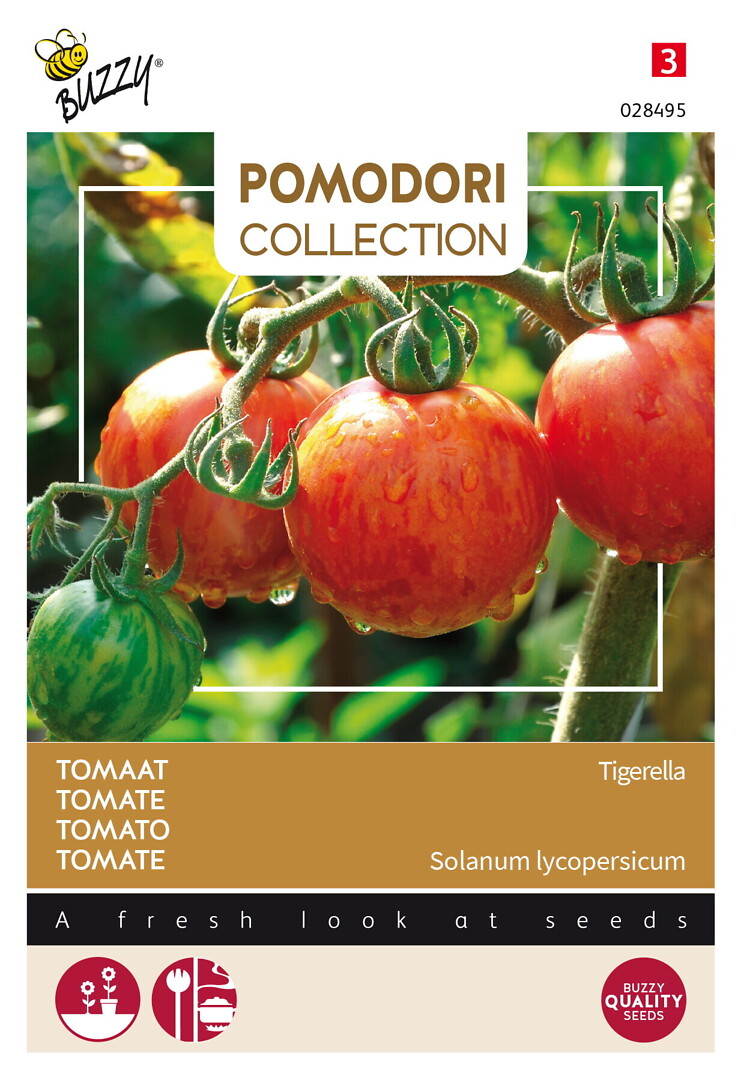 Pomodori tomaatti Tigerella