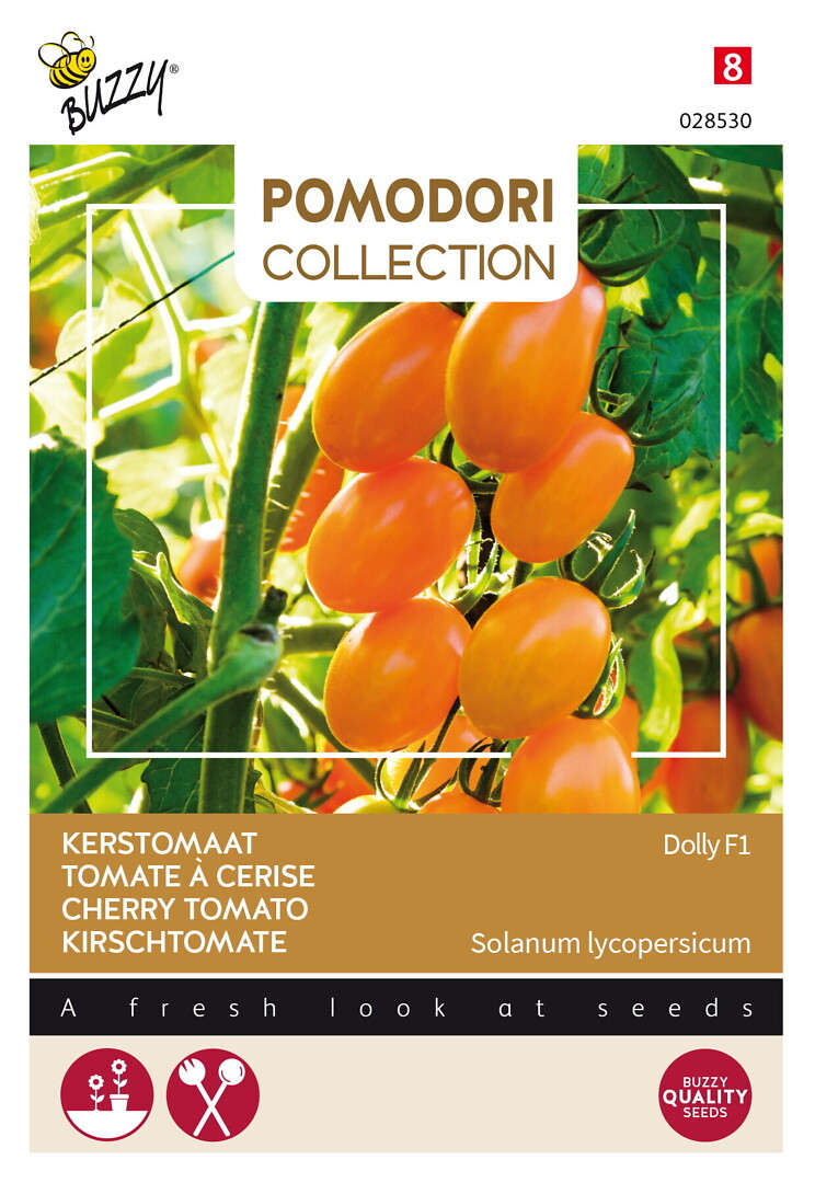 Pomodori kirsikkatomaatti Dolly F1