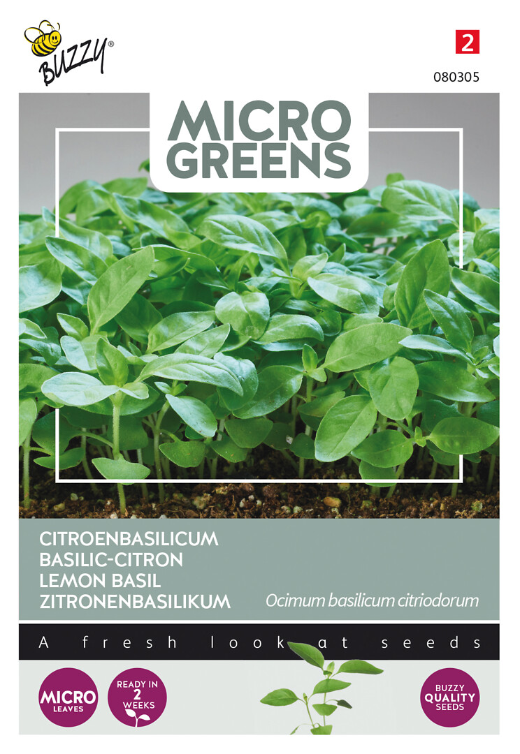 Microgreens sitruunabasilika