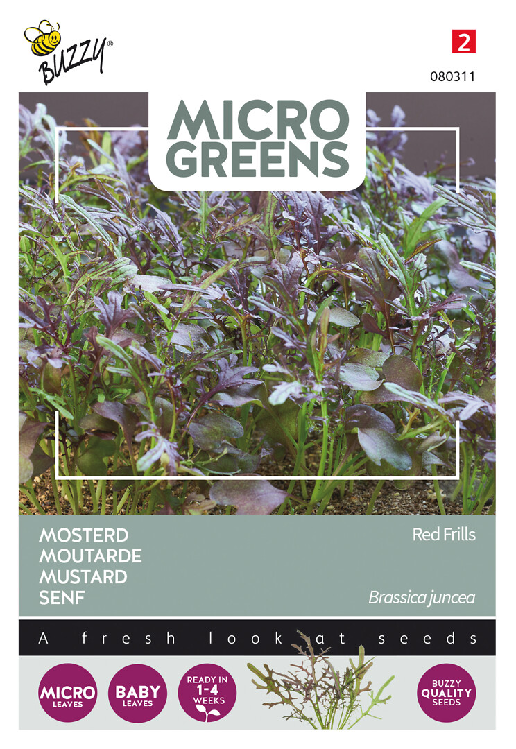 Microgreens sinappi Red Frills