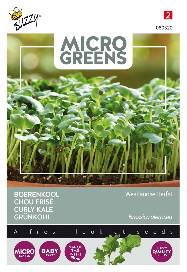 Microgreens lehtikaali Westland Autumn