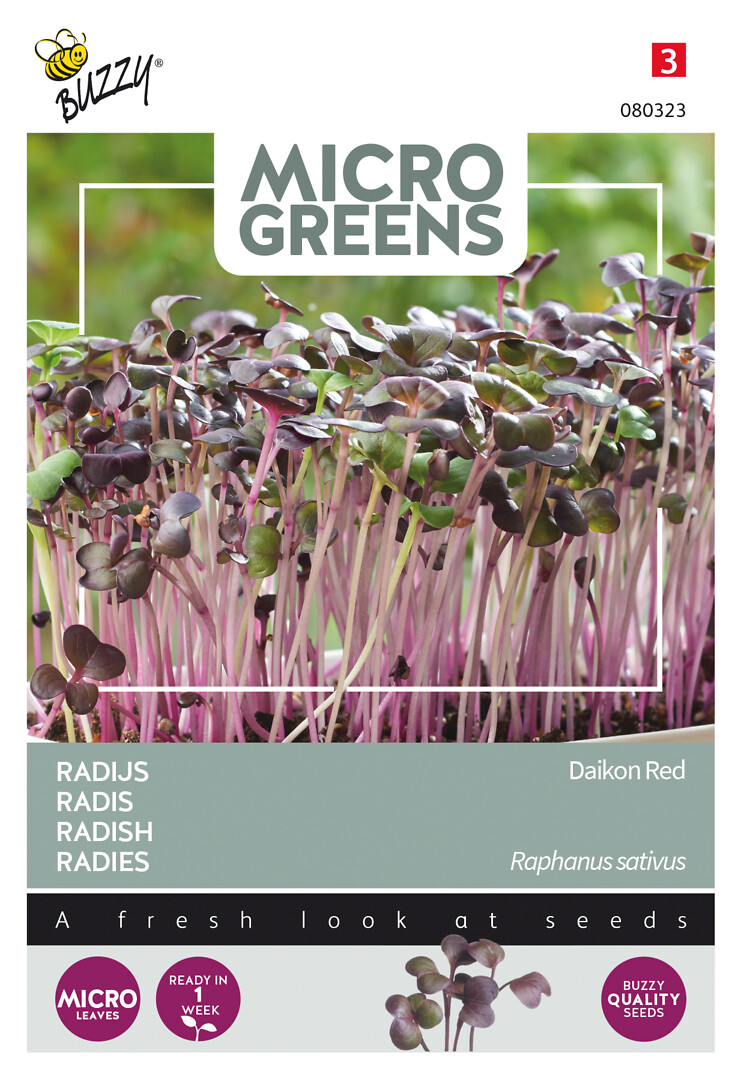 Microgreens retikka Daikon Red