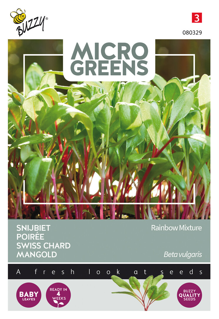 Microgreens mangoldi Rainbow-sekoite