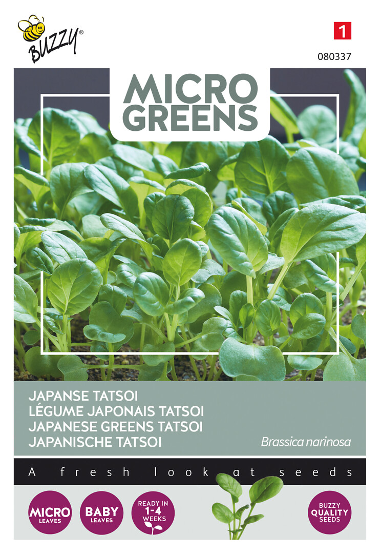 Microgreens tatsoi