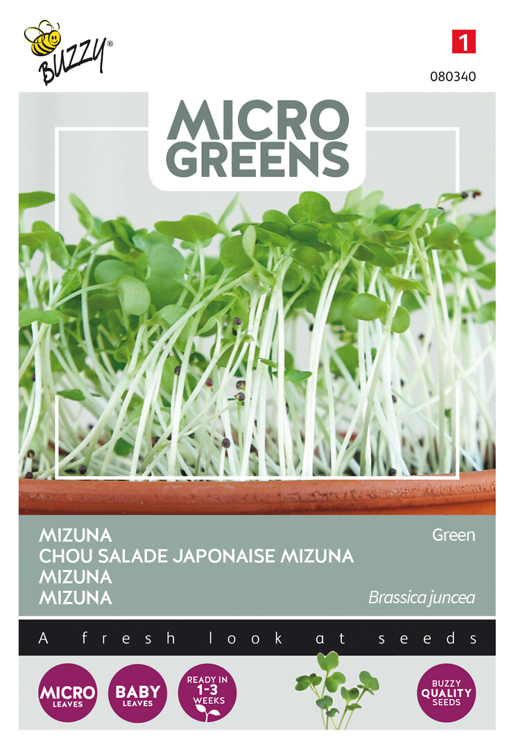 Microgreens mizuna vihreä