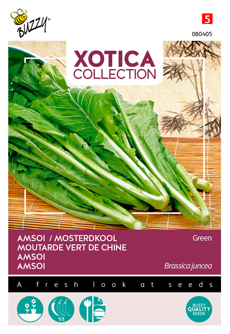 Xotica Amsoi vihreälehtinen, Gai Choy, lehtisinappi (sereptansinappi)