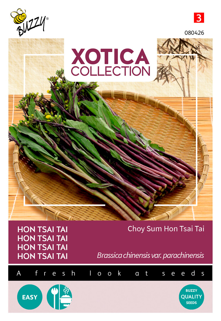 Xotica Coy Sum Hon Tsai Tai, sellerikaali