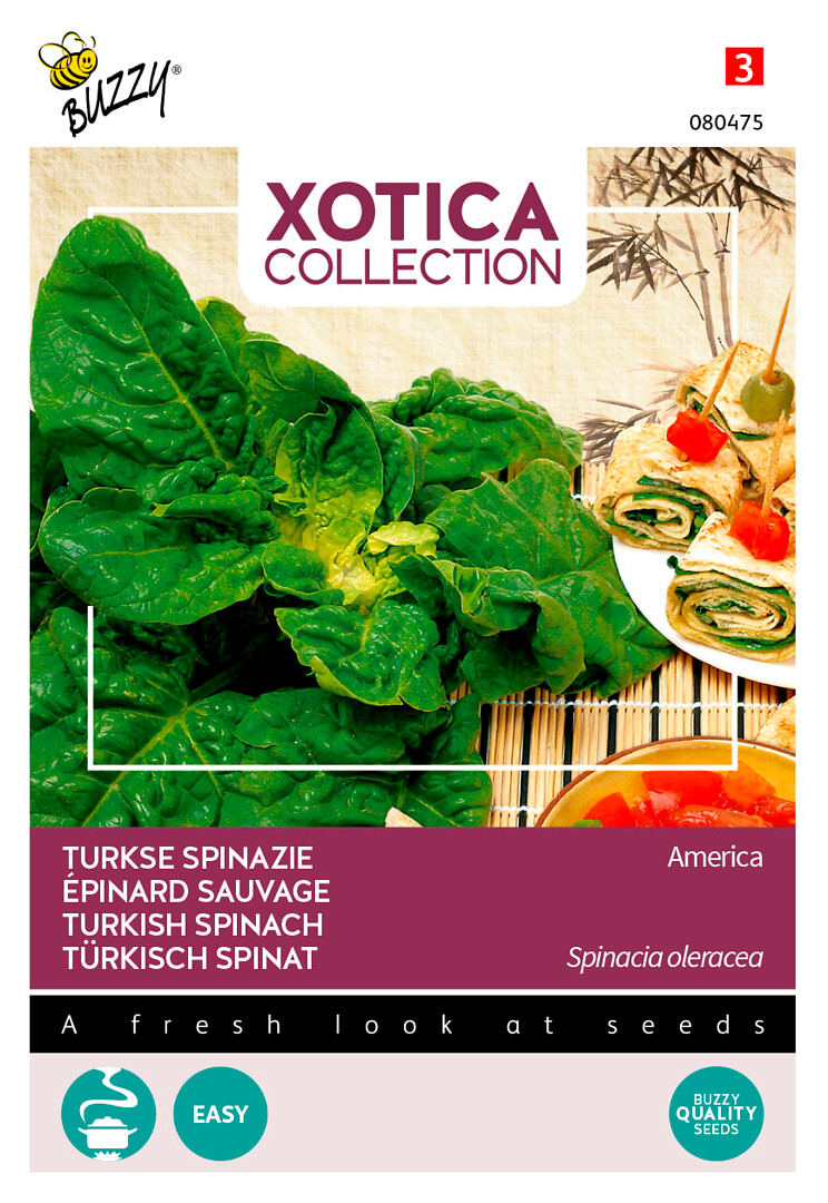 Xotica turkkilainen pinaatti
