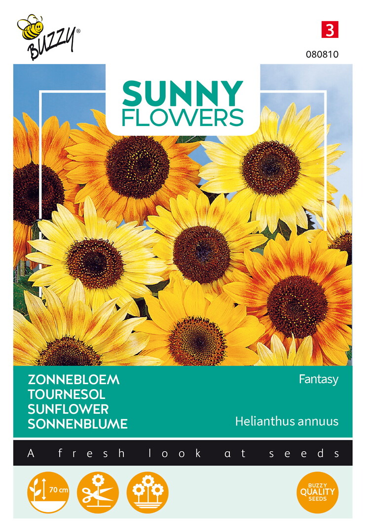 Sunny Flowers auringonkukka Fantasy