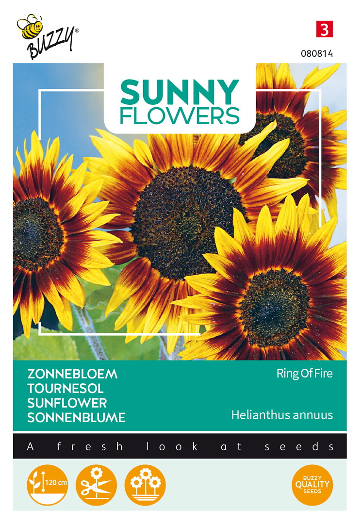 Sunny Flowers auringonkukka Ring of Fire