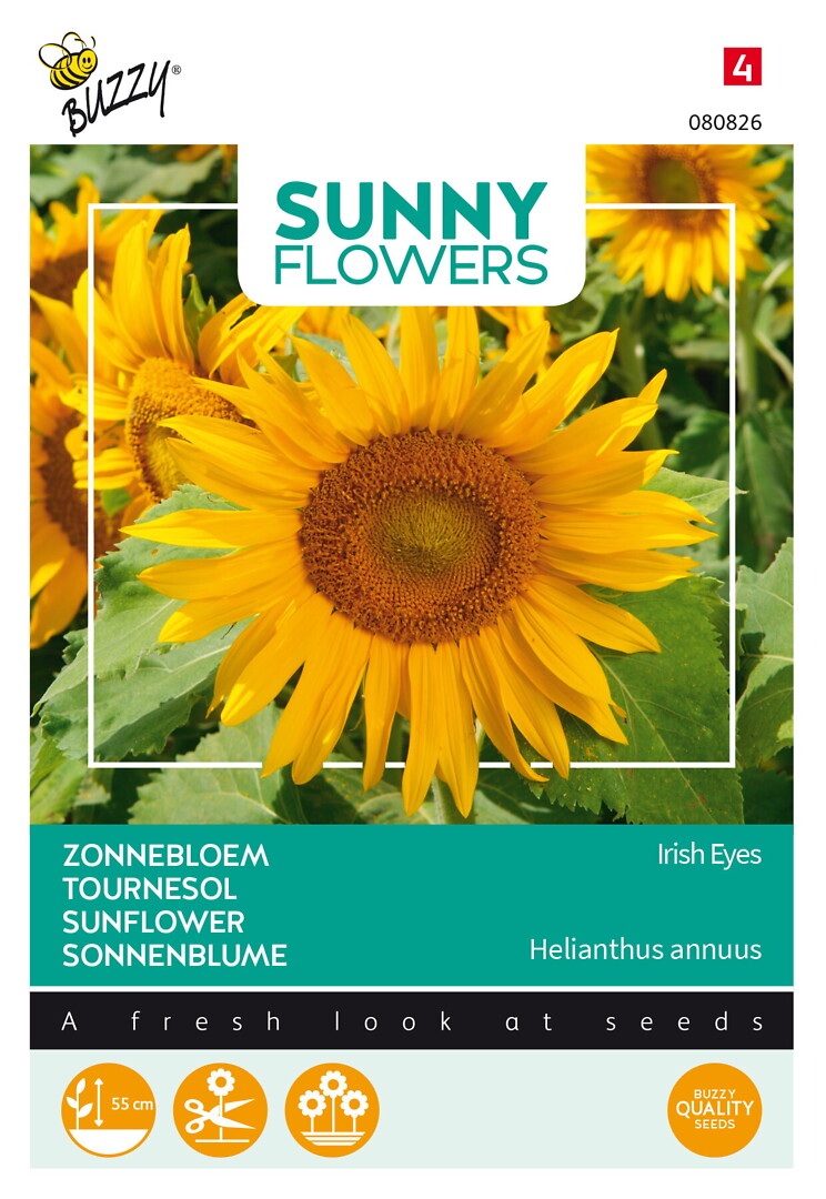 Sunny Flowers auringonkukka Irish Eyes