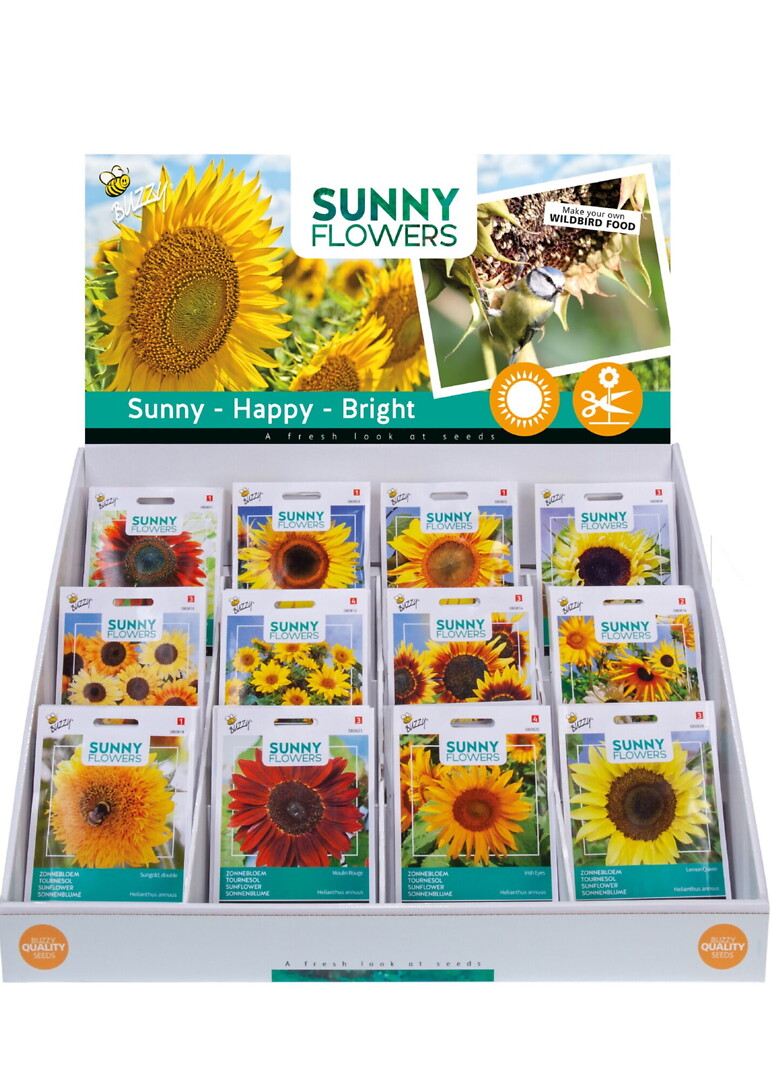 Kassadisplay Sunny Flowers auringonkukkia 12x10