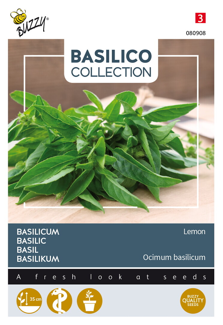 Basilico sitruunabasilika