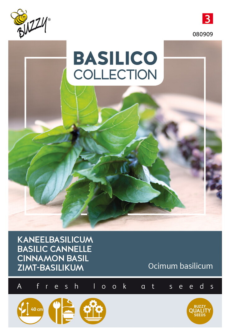 Basilico kanelibasilika
