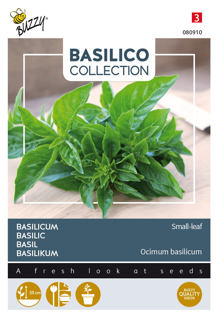 Basilico pienilehtinen basilika