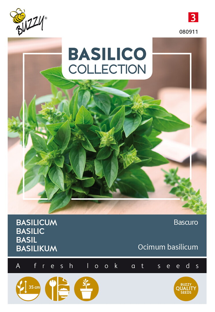 Basilico basilika Bascuro