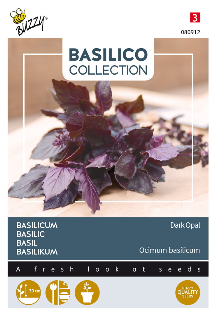 Basilico basilika Dark Opal