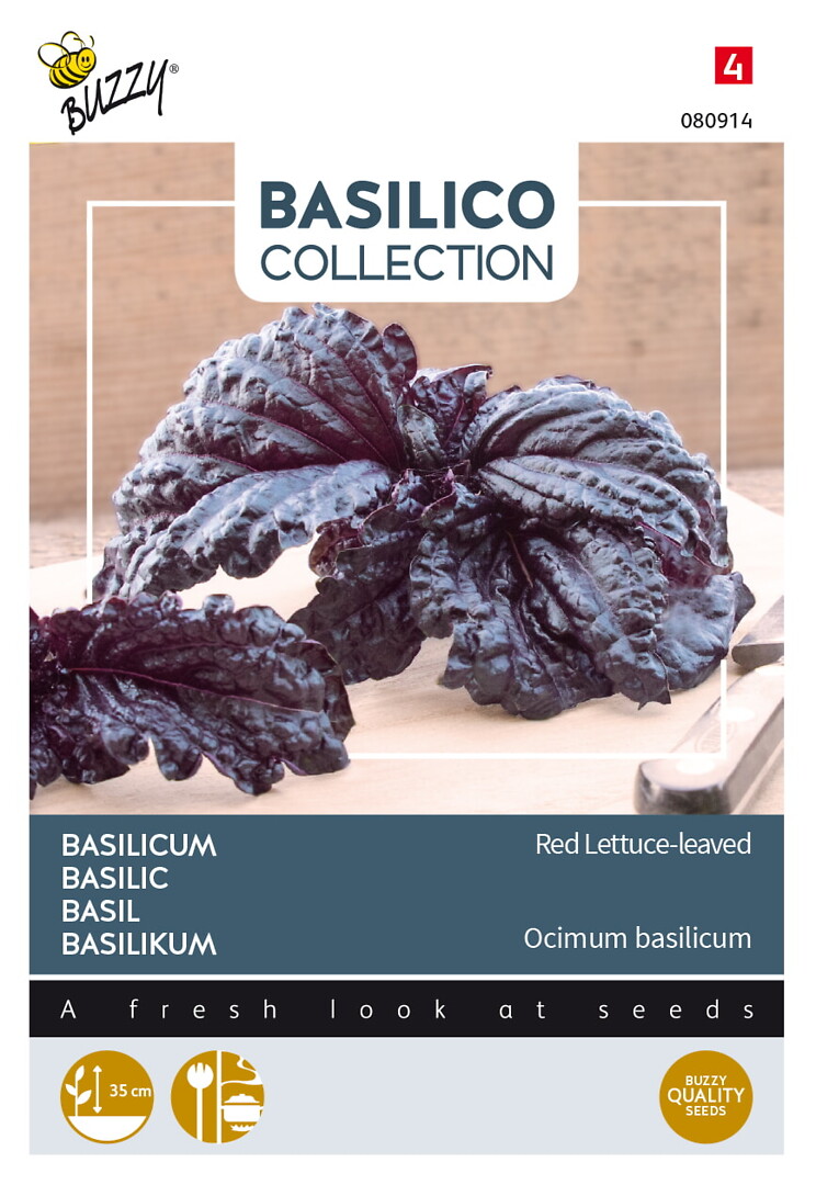 Basilico basilika Red Lizzy