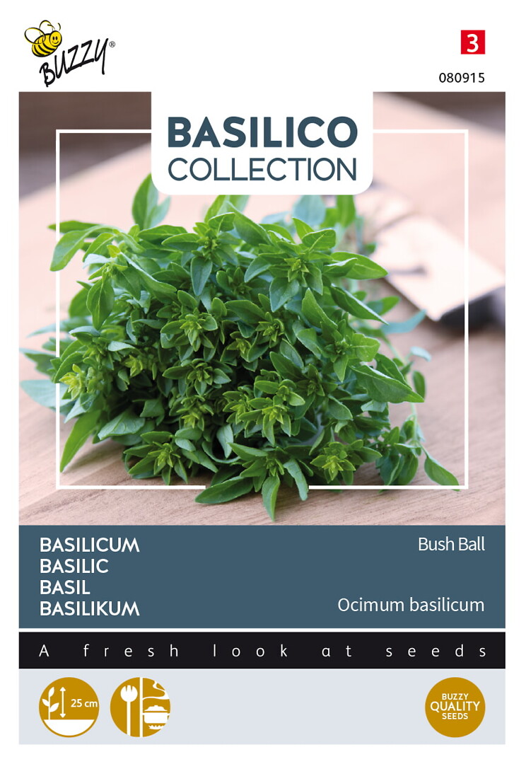 Basilico basilika Bush Ball