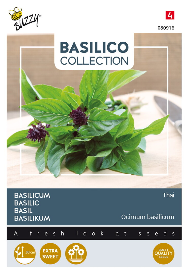 Basilico thaibasilika
